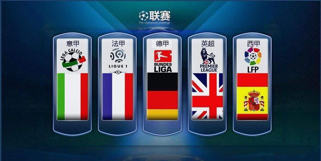 到引进国际