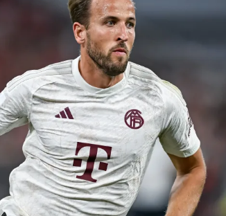 众再次感受 众再次感受